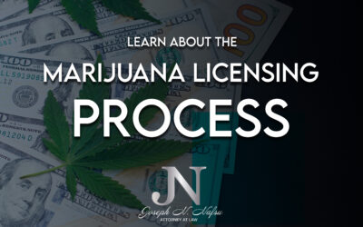 Learn About the Marijuana Business Licensing Process