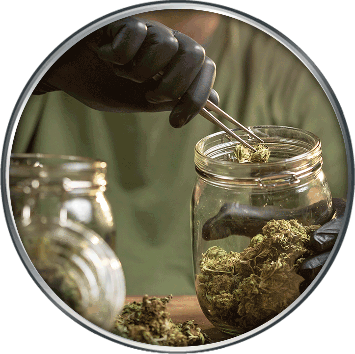 JN_Cannabis